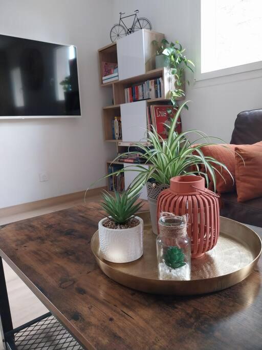 Appartement T3 Avec Jacuzzi Prive Exterieur *